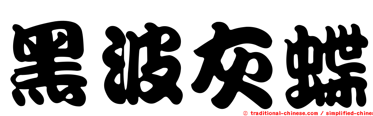 黑波灰蝶