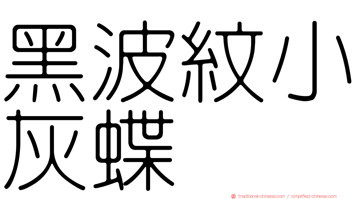 黑波紋小灰蝶