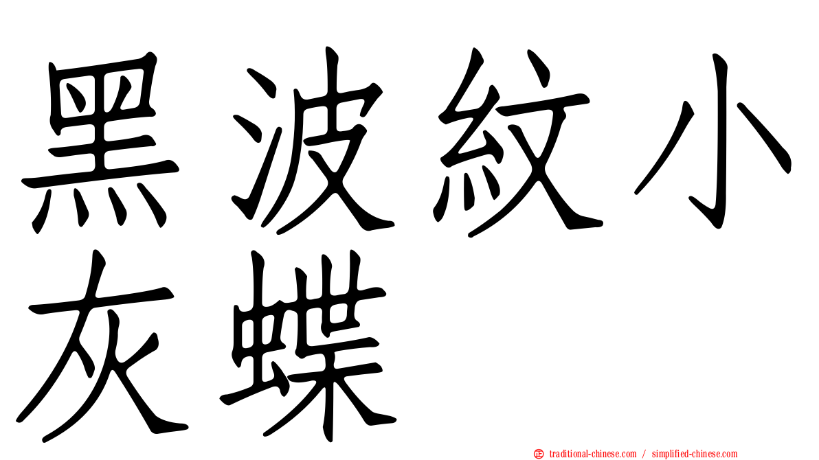黑波紋小灰蝶