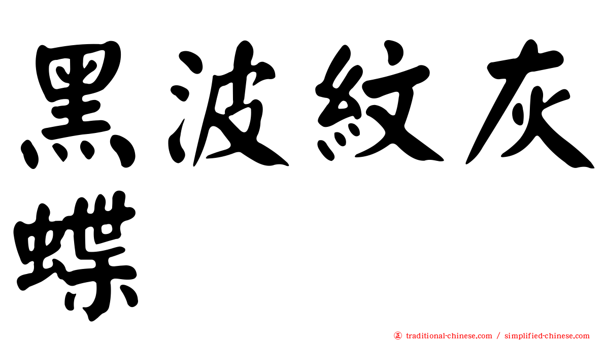 黑波紋灰蝶