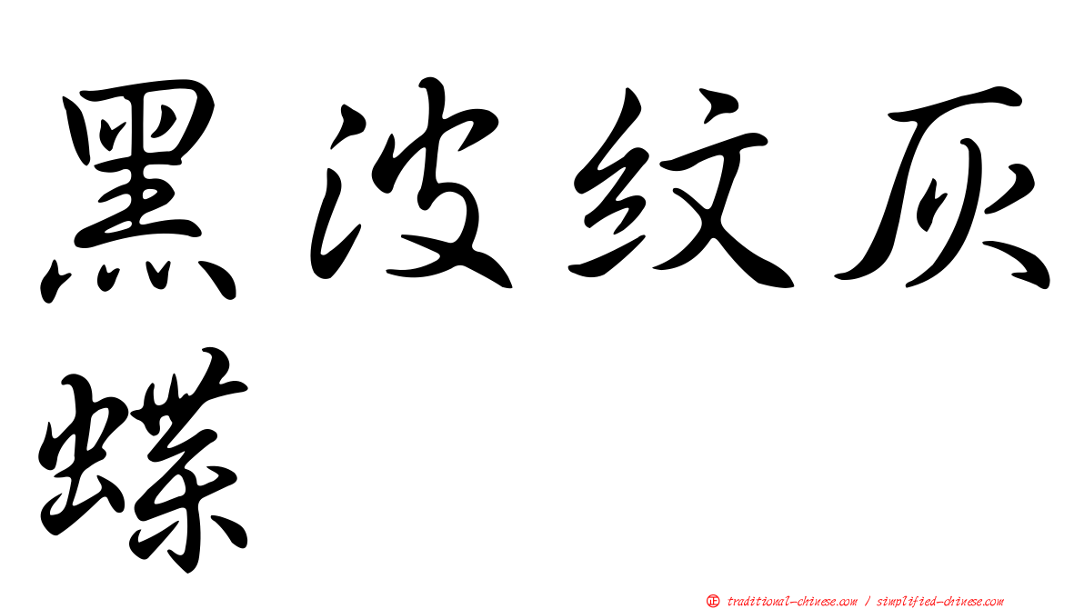 黑波紋灰蝶