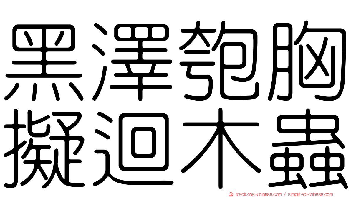 黑澤匏胸擬迴木蟲