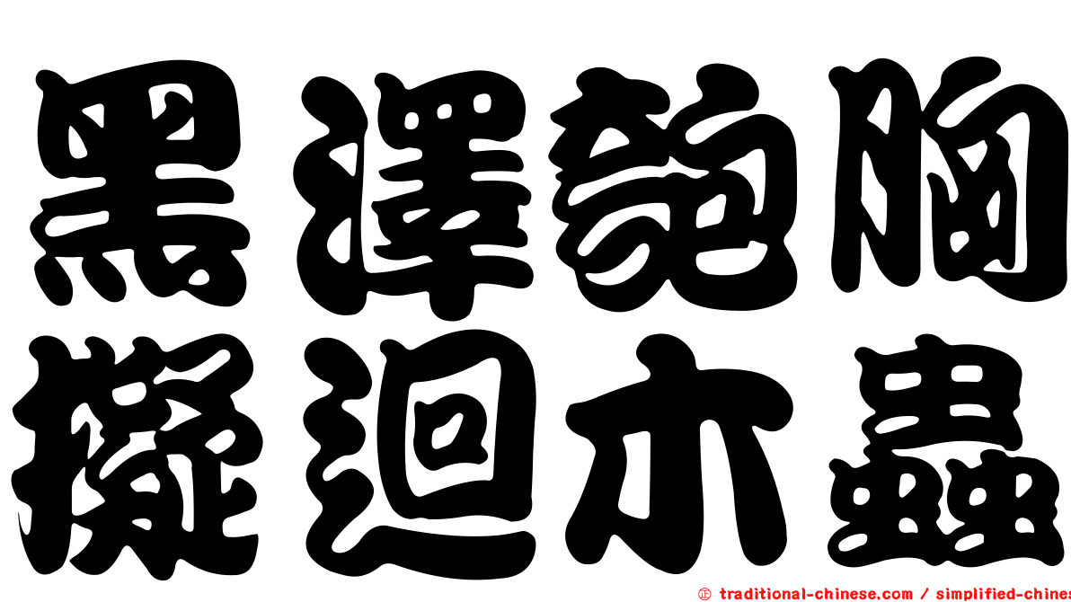 黑澤匏胸擬迴木蟲
