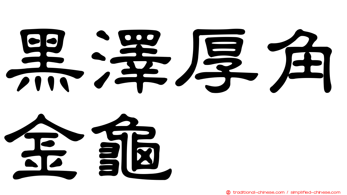 黑澤厚角金龜