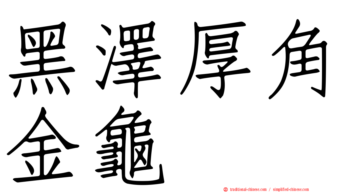 黑澤厚角金龜
