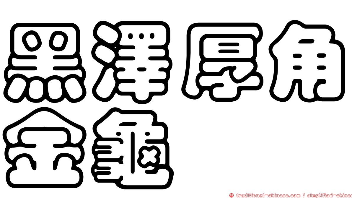 黑澤厚角金龜