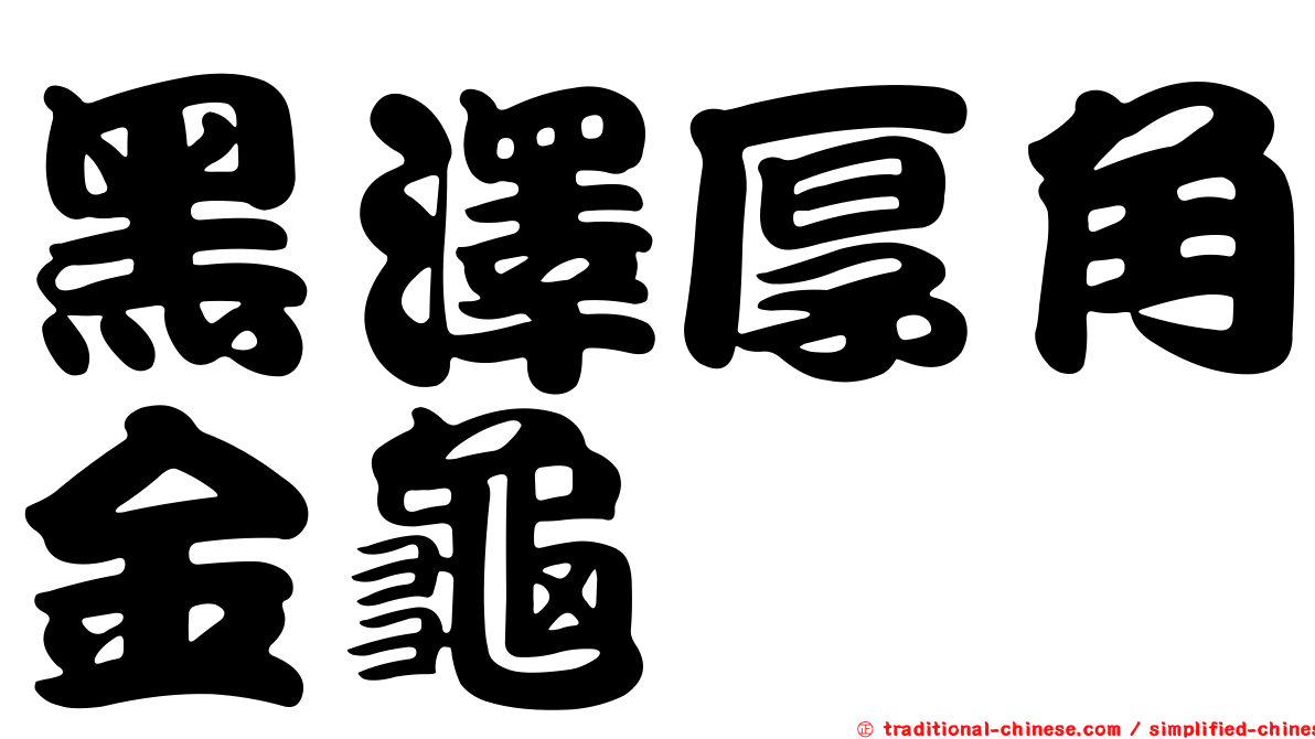 黑澤厚角金龜