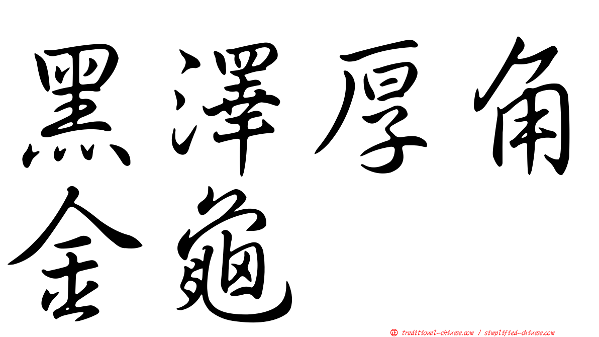 黑澤厚角金龜