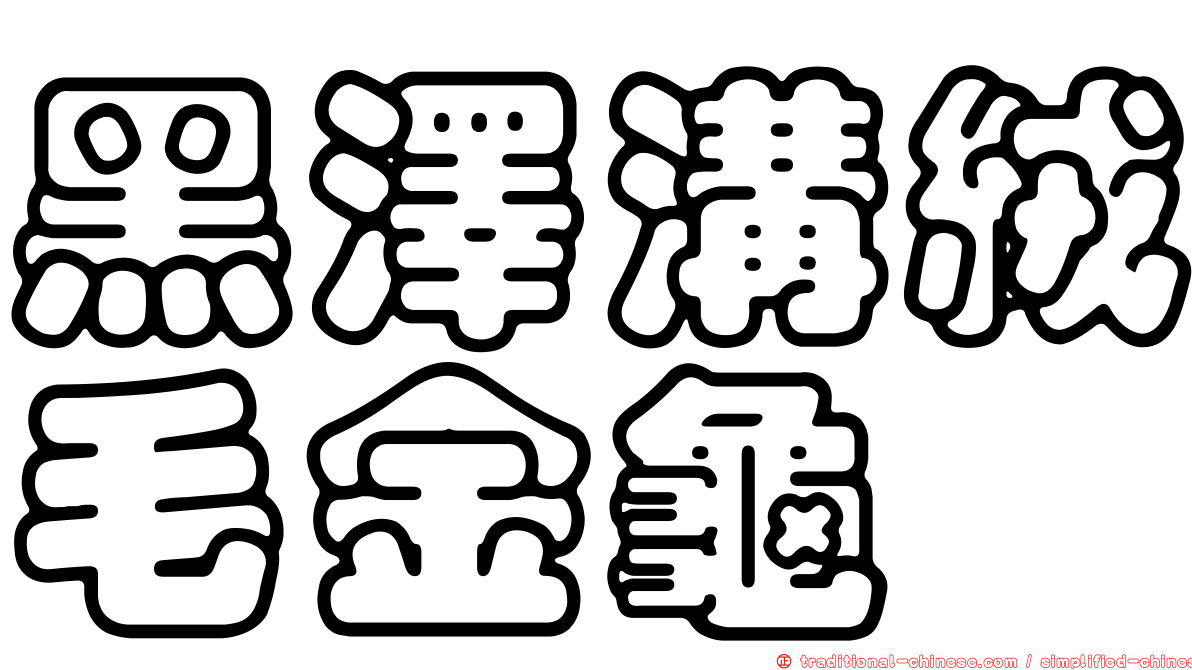 黑澤溝絨毛金龜