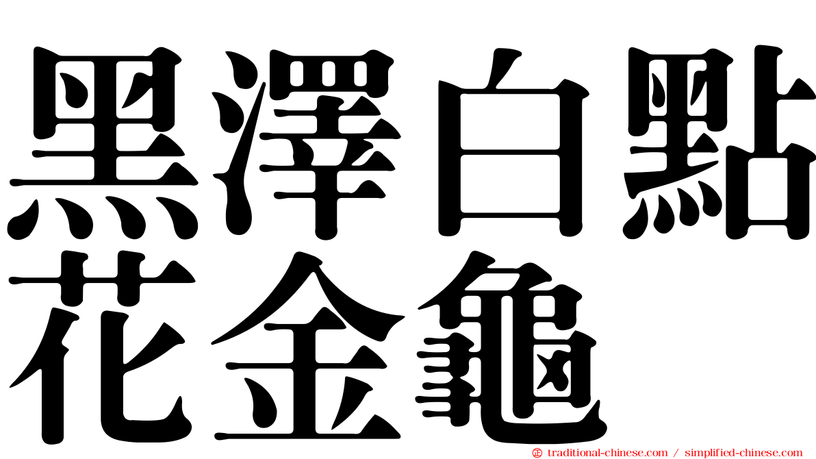 黑澤白點花金龜