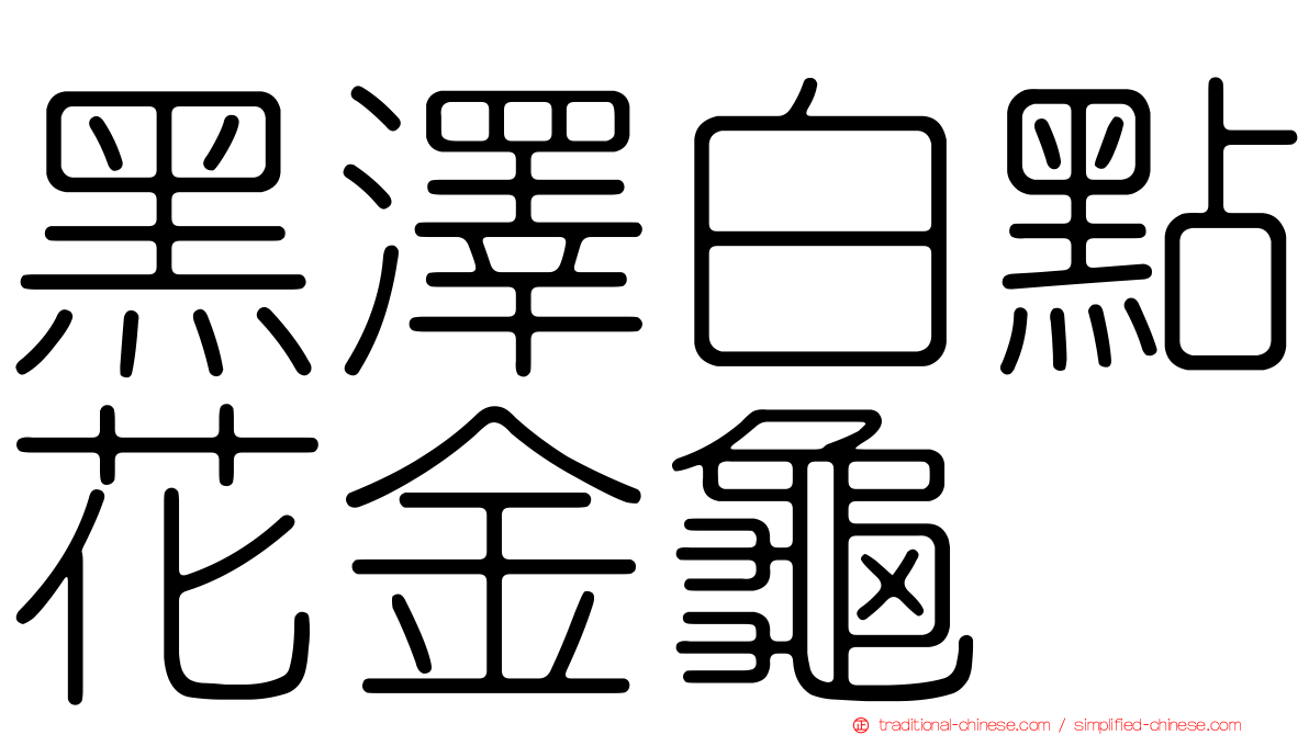 黑澤白點花金龜