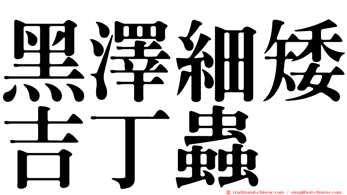 黑澤細矮吉丁蟲