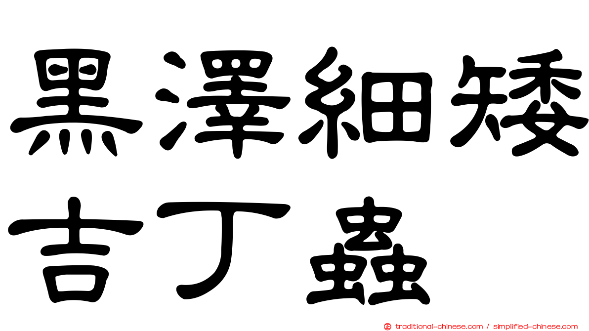 黑澤細矮吉丁蟲