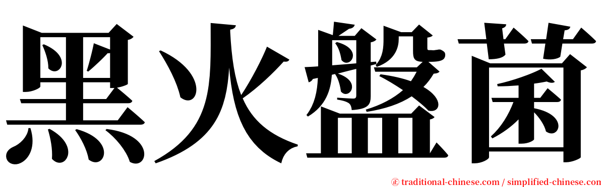 黑火盤菌 serif font