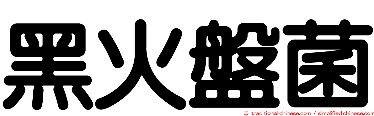 黑火盤菌