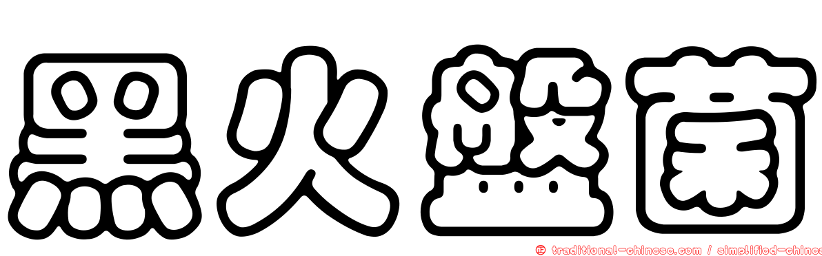 黑火盤菌