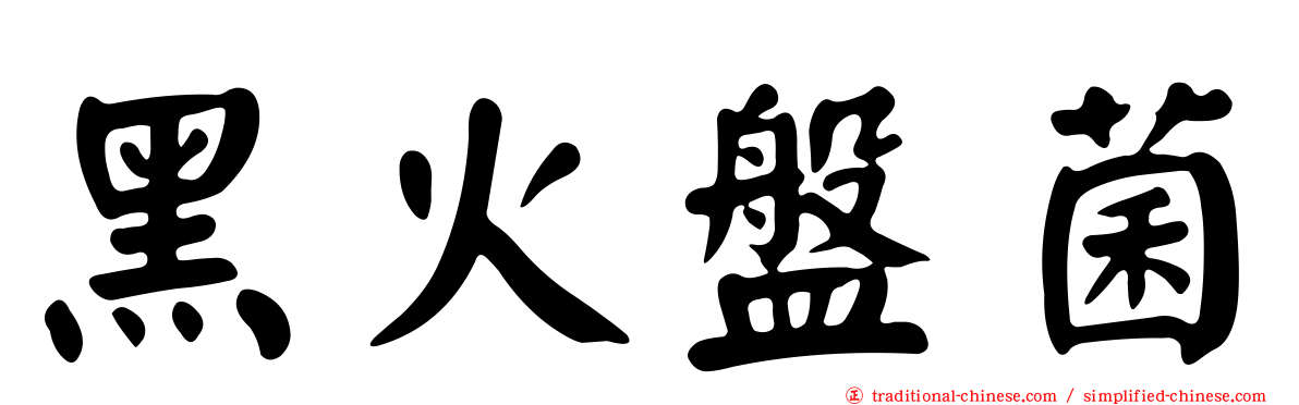 黑火盤菌