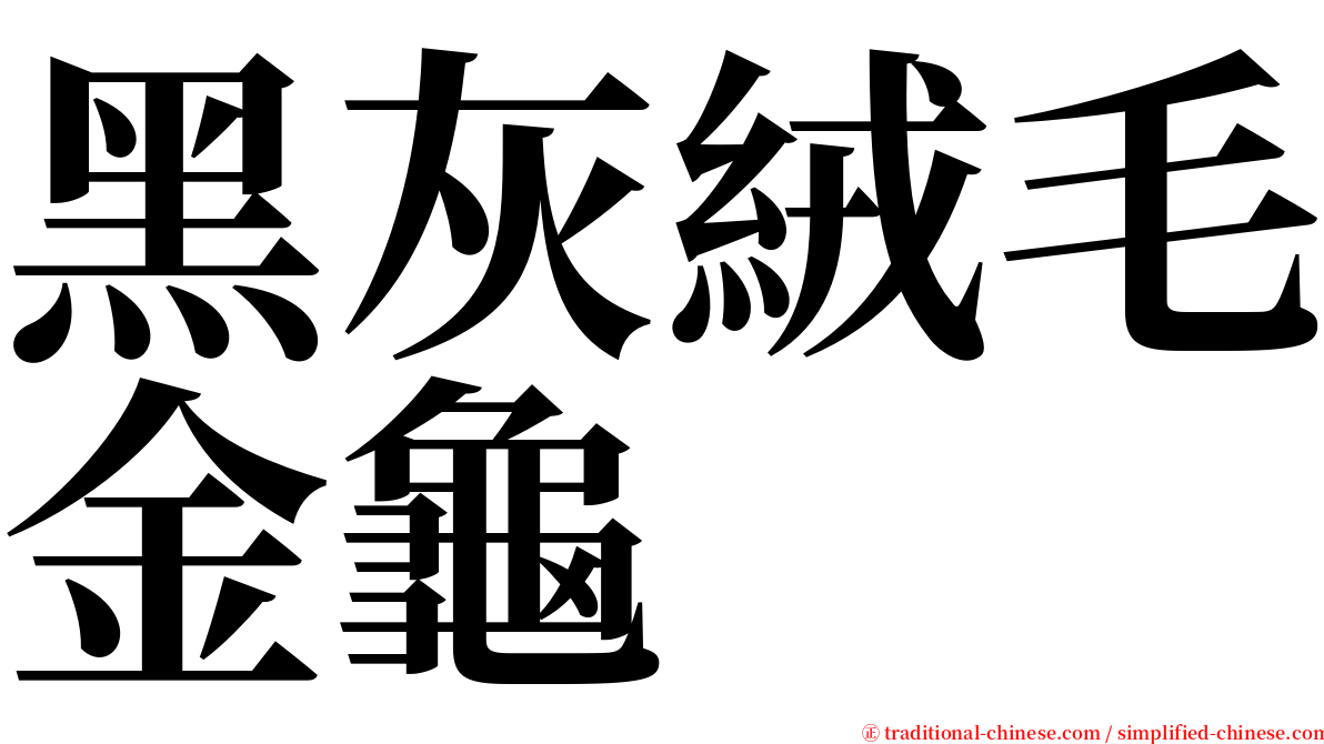黑灰絨毛金龜 serif font