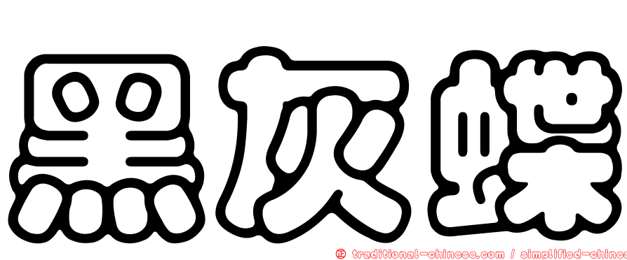 黑灰蝶