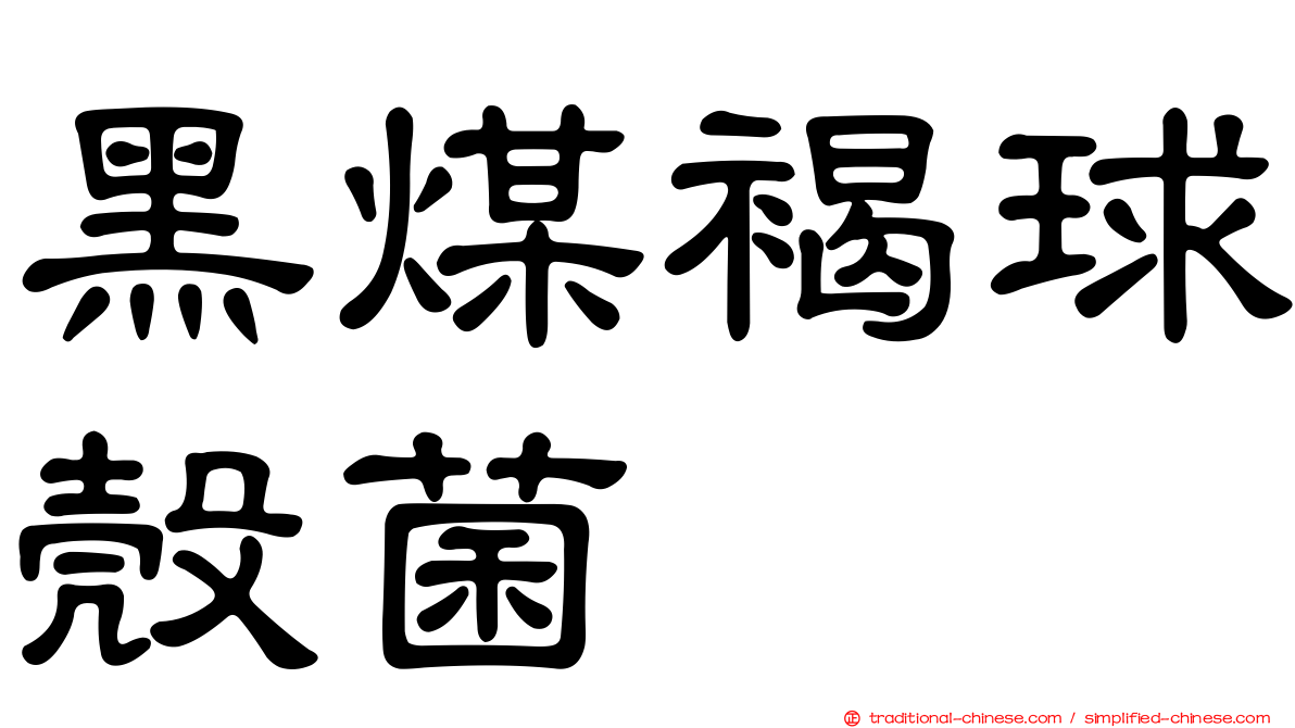 黑煤褐球殼菌