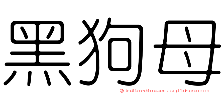 黑狗母