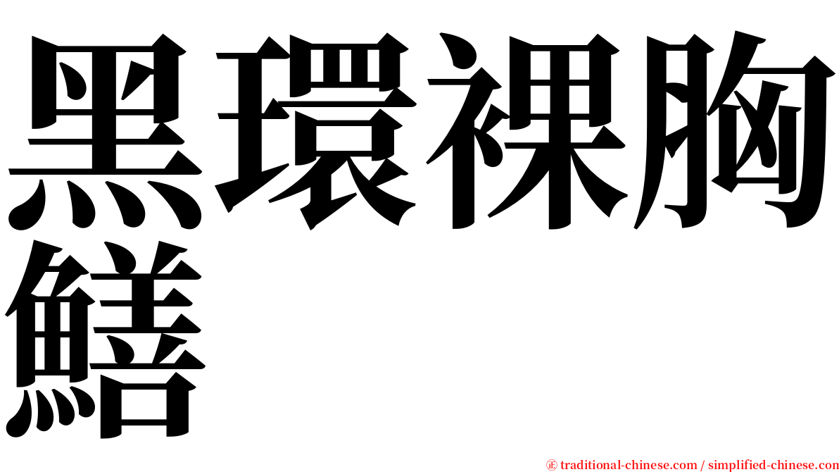 黑環裸胸鱔 serif font