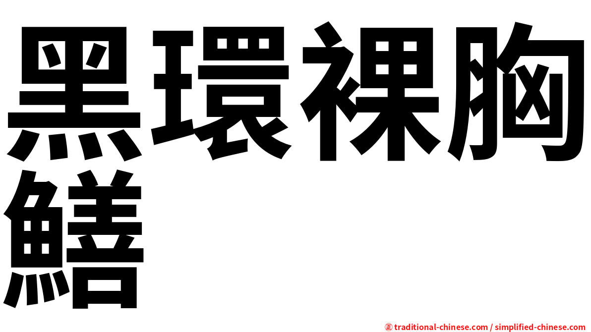 黑環裸胸鱔
