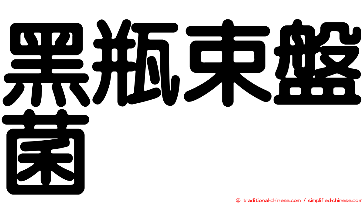 黑瓶束盤菌