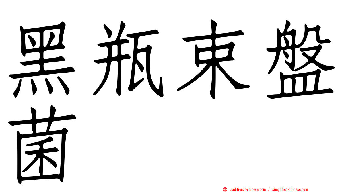 黑瓶束盤菌
