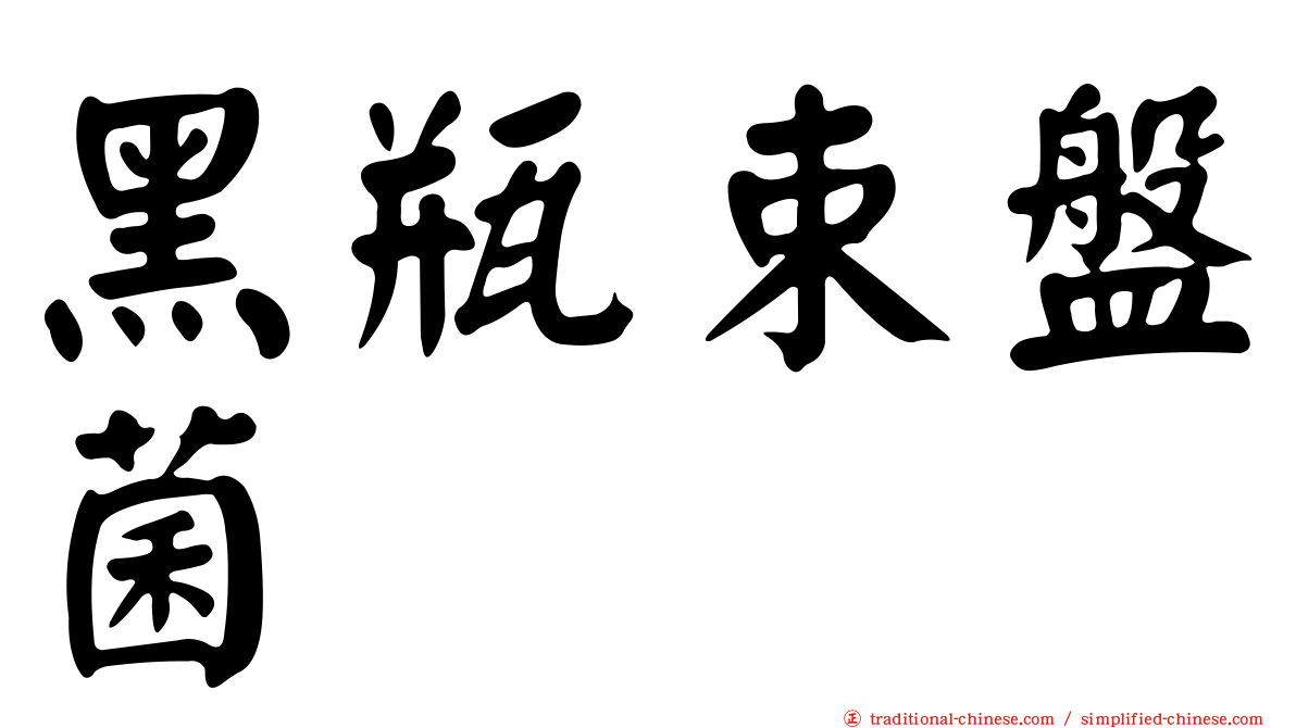 黑瓶束盤菌