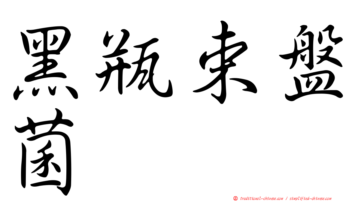 黑瓶束盤菌