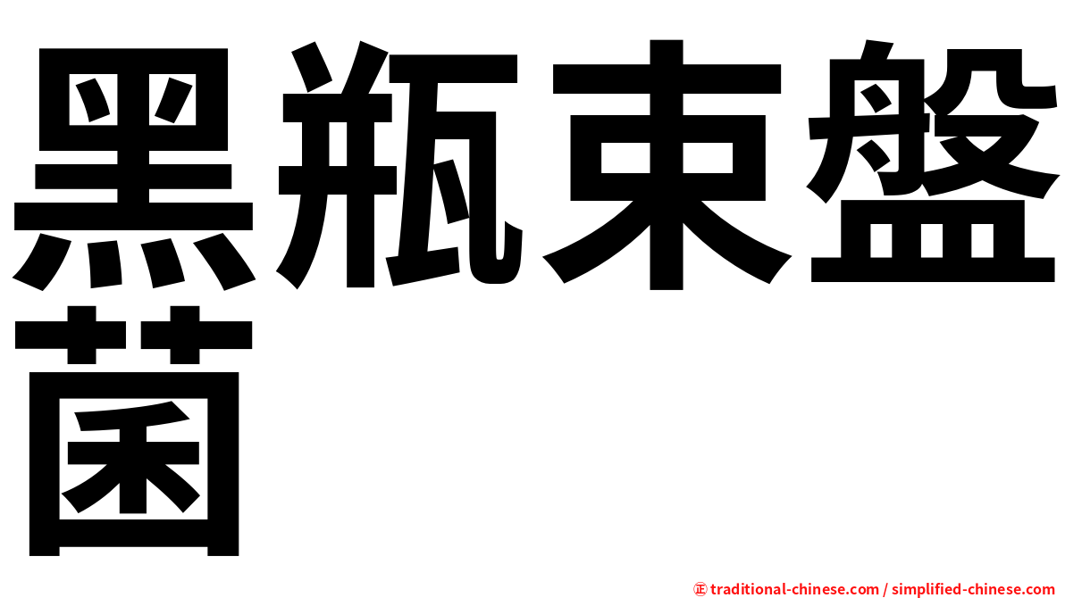 黑瓶束盤菌
