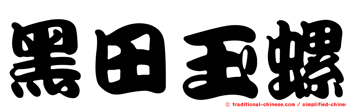 黑田玉螺