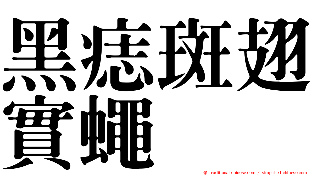 黑痣斑翅實蠅