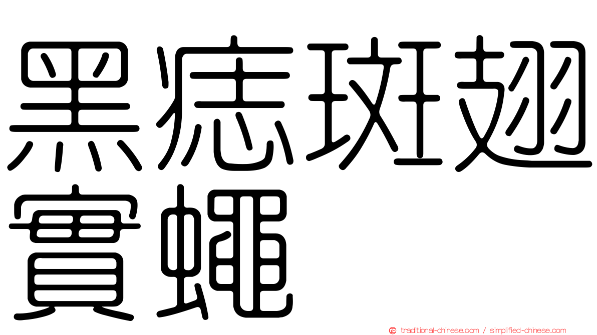 黑痣斑翅實蠅
