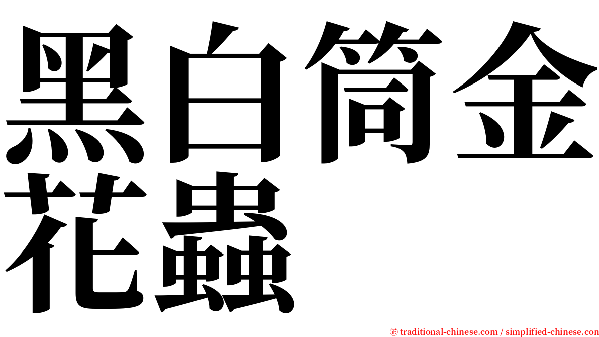 黑白筒金花蟲 serif font