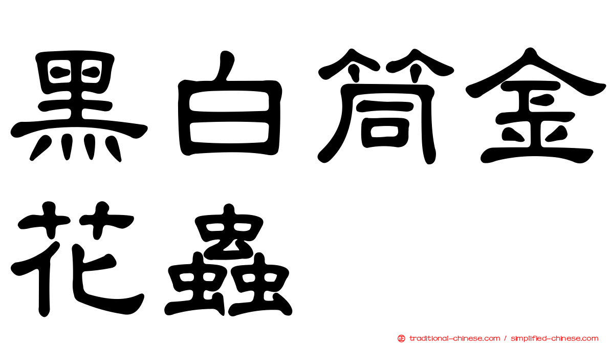 黑白筒金花蟲