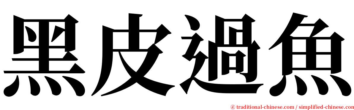 黑皮過魚 serif font
