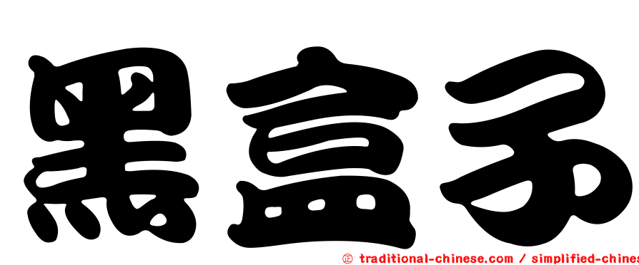 黑盒子