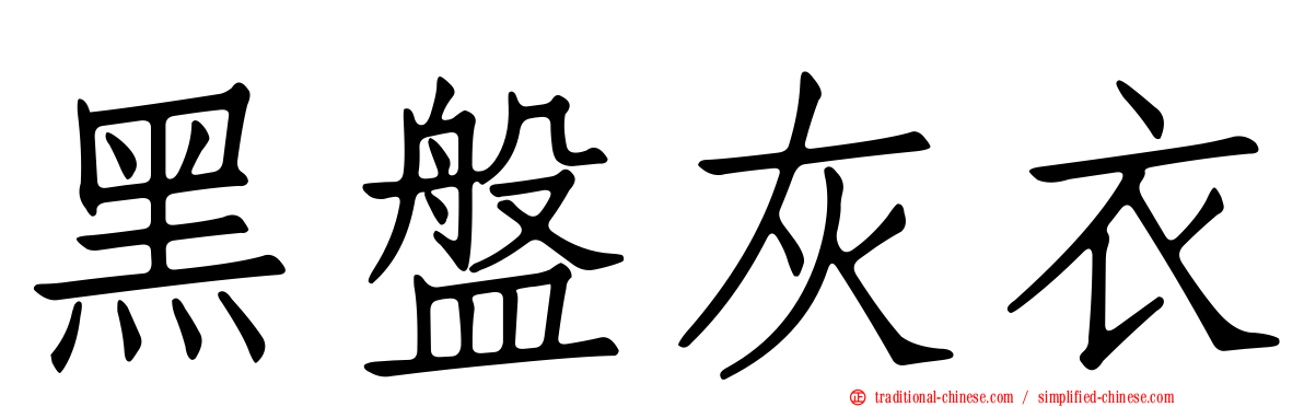 黑盤灰衣
