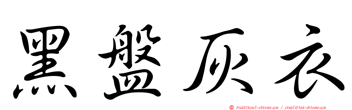 黑盤灰衣