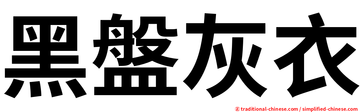 黑盤灰衣
