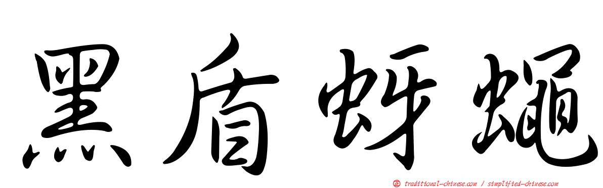 黑盾蚜蠅