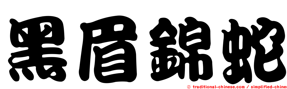 黑眉錦蛇