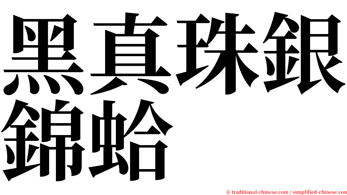 黑真珠銀錦蛤 serif font