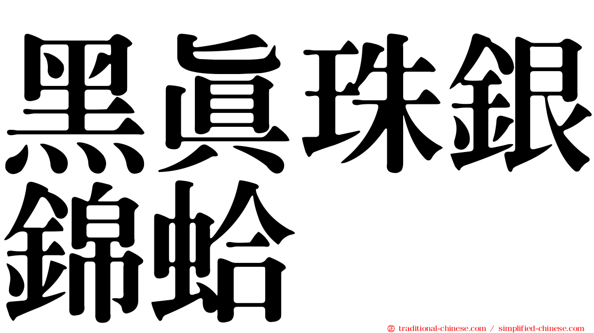 黑真珠銀錦蛤