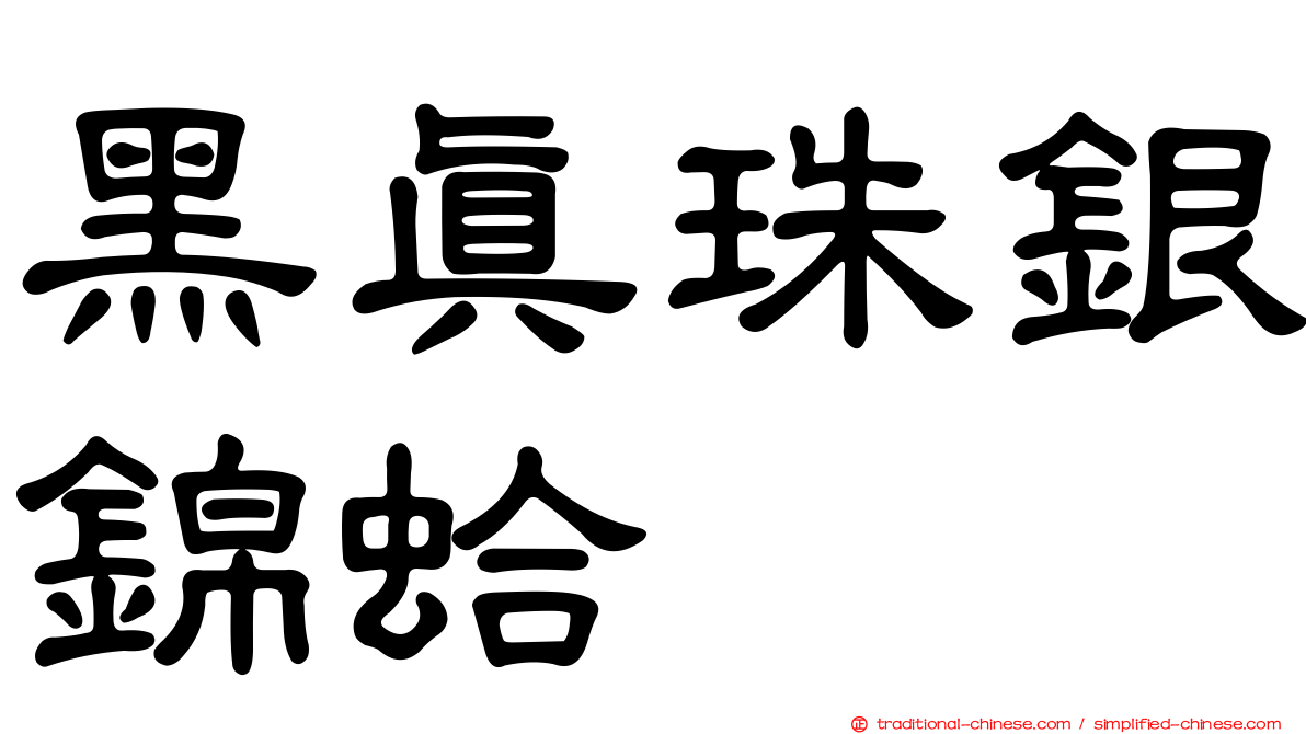 黑真珠銀錦蛤