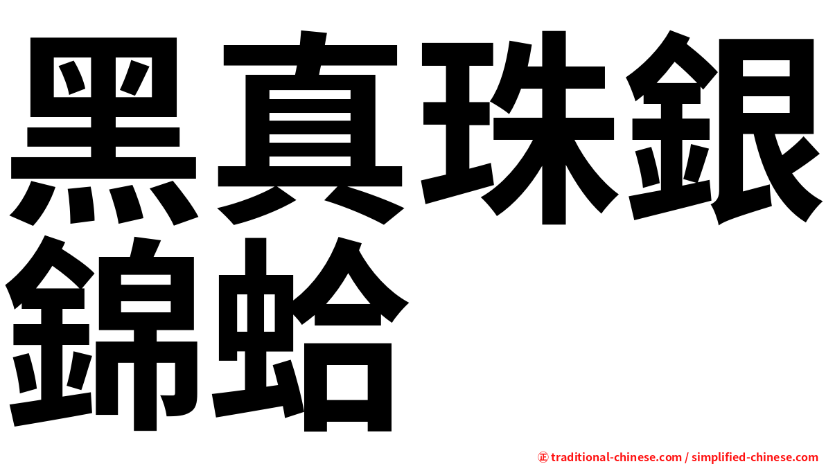 黑真珠銀錦蛤