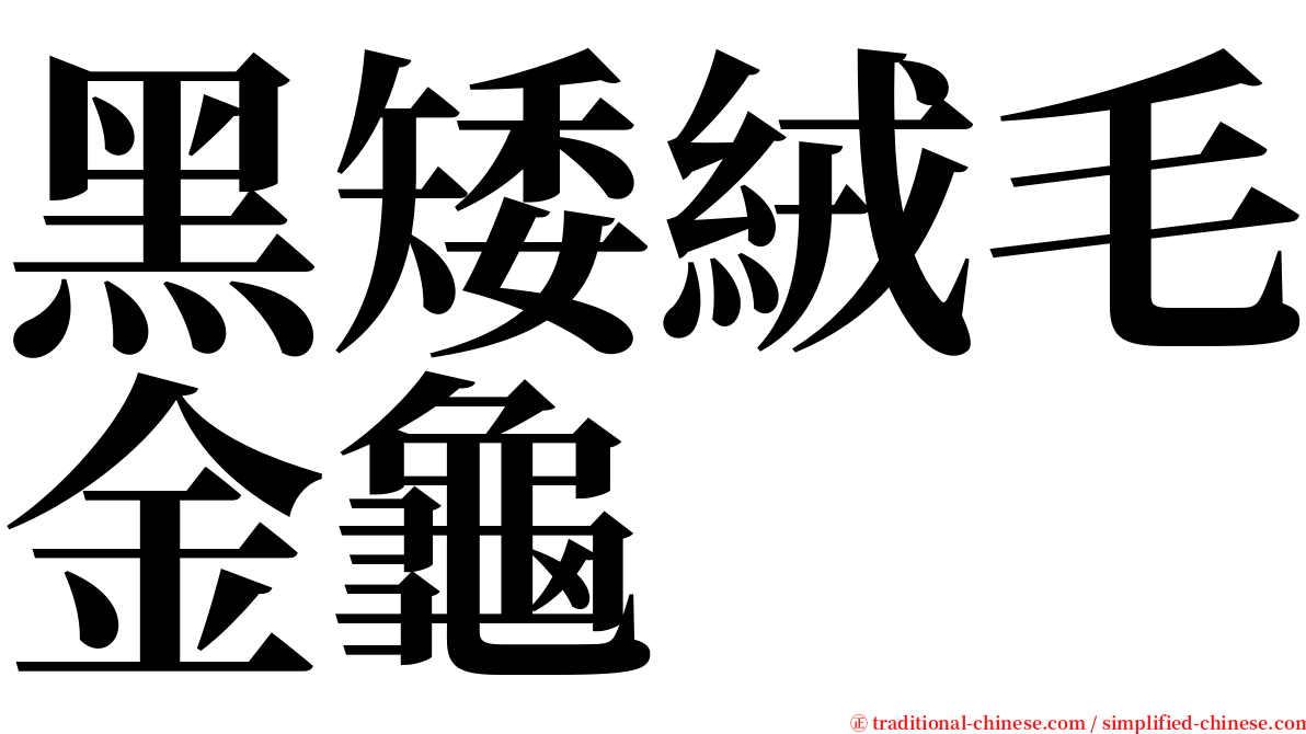 黑矮絨毛金龜 serif font