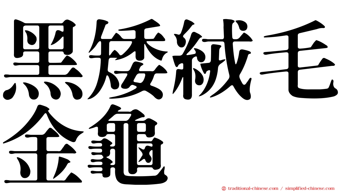 黑矮絨毛金龜
